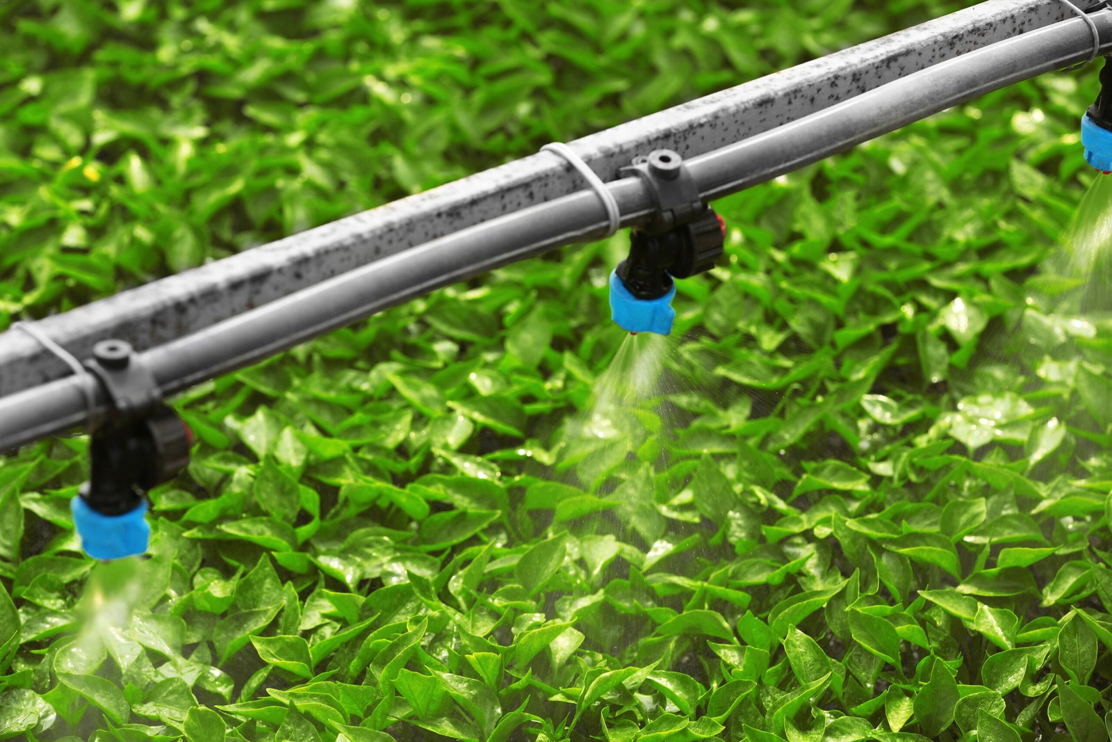 Mangueira Hidraulica E Acoplamentos